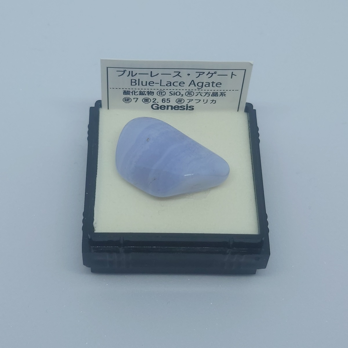 ファイル 1287-3.jpg